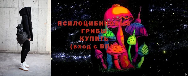 соль ск Балабаново