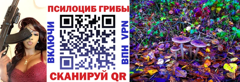 это Telegram  Куртамыш  Псилоцибиновые грибы MAGIC MUSHROOMS  цены наркотик 